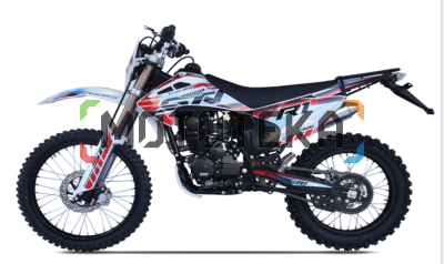 Мотоцикл кроссовый / эндуро STN R6 PR300